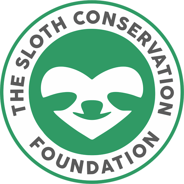 The Sloth Conservation Foundation Logo